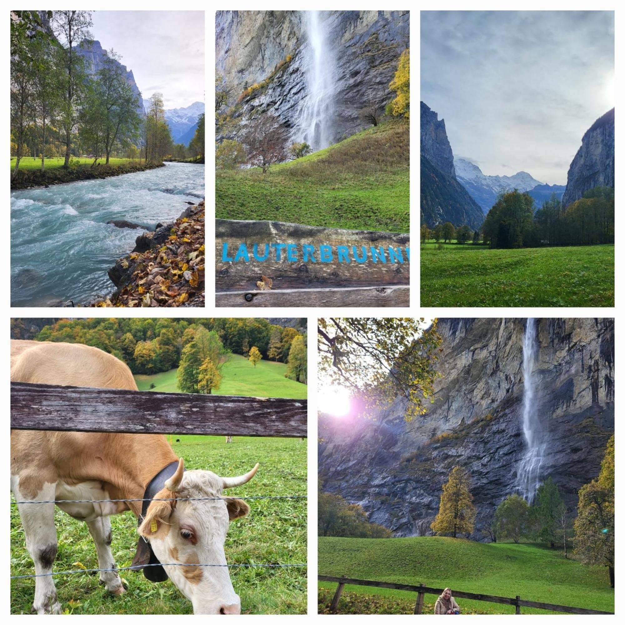 Ferienwohnung Sonnenseite Brienz Brienz  Εξωτερικό φωτογραφία